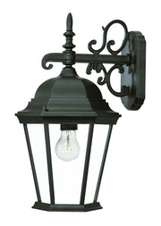 Matte Black Domed Glass Hanging Lantern Wall Light-Outdoor Lighting-DECOROLALA