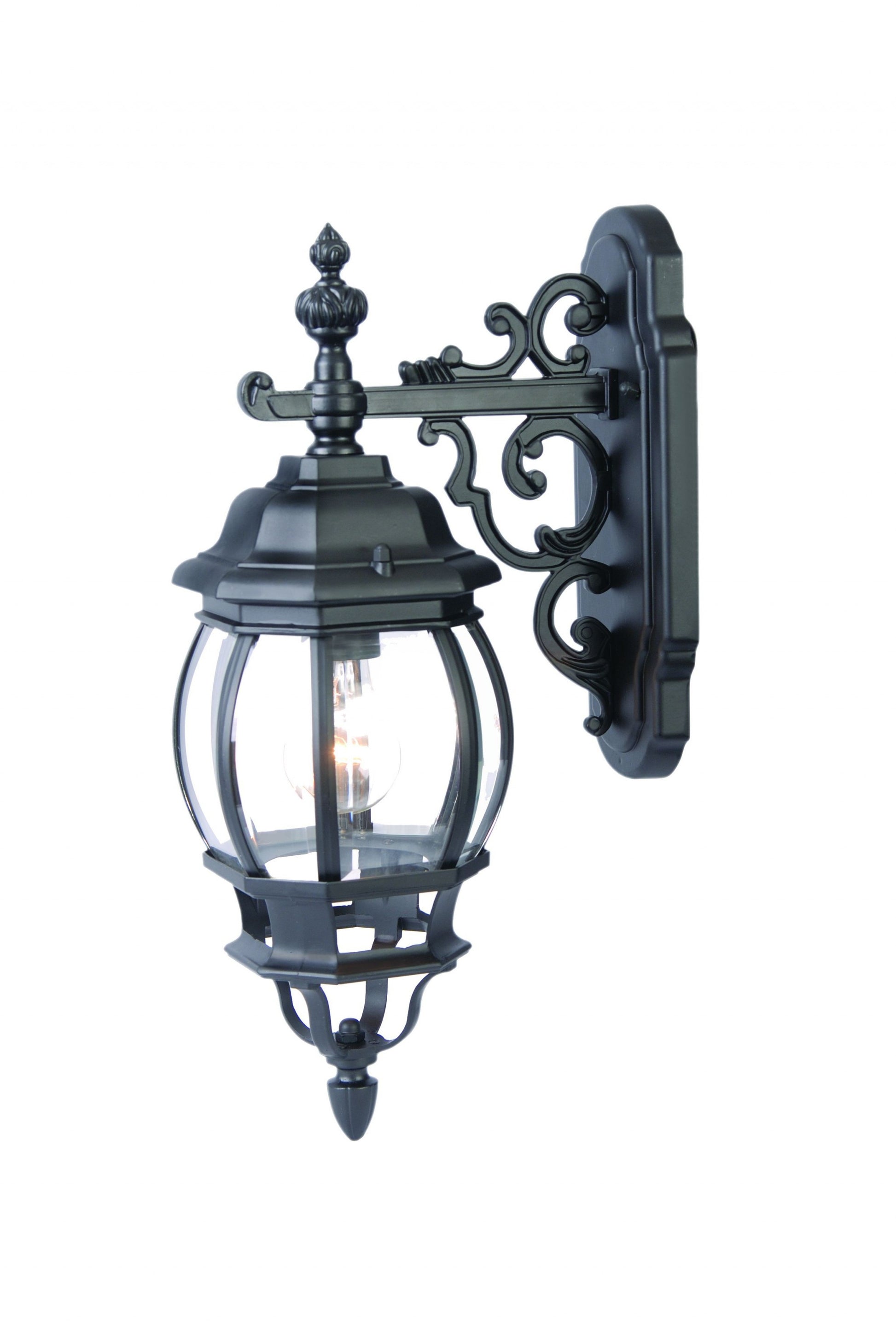 Matte Black Hanging Glass Globe Wall Light-Outdoor Lighting-DECOROLALA