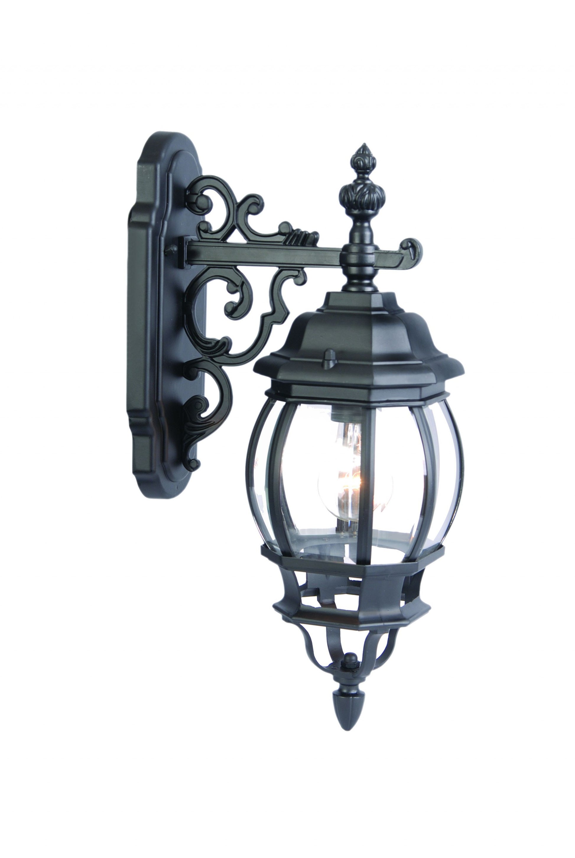 Matte Black Hanging Glass Globe Wall Light-Outdoor Lighting-DECOROLALA