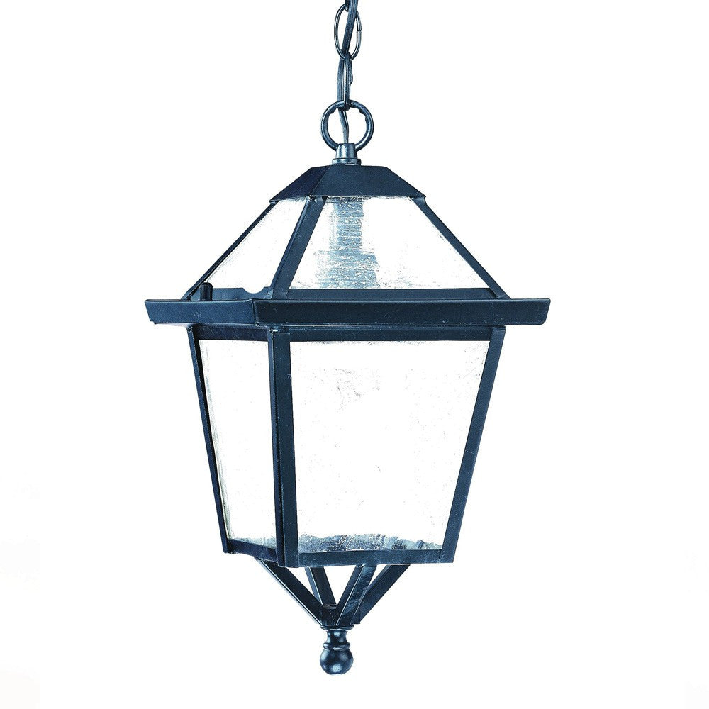 Matte Black Hanging Lantern Light-Outdoor Lighting-DECOROLALA