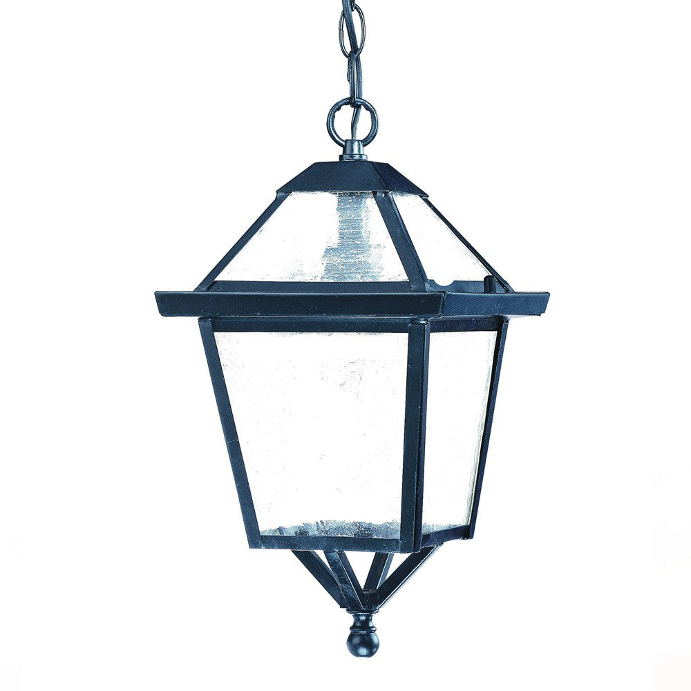Matte Black Hanging Lantern Light-Outdoor Lighting-DECOROLALA