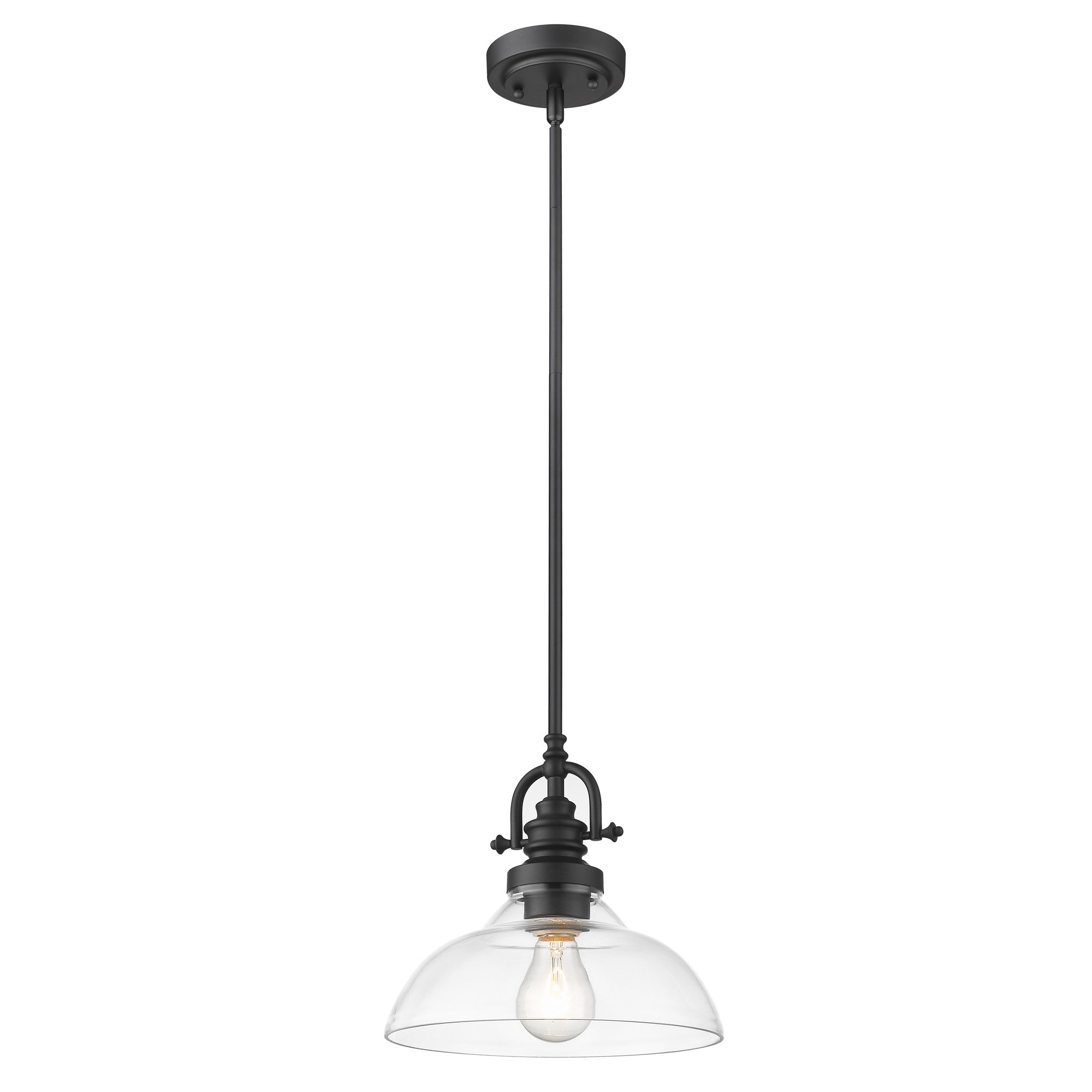 Matte Black Hanging Light with Glass Dome Shade-Chandeliers-DECOROLALA