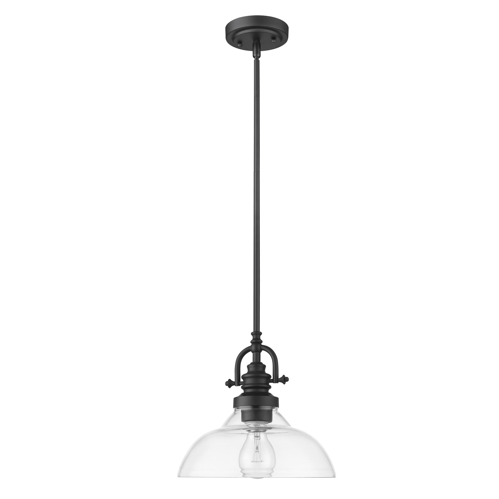 Matte Black Hanging Light with Glass Dome Shade-Chandeliers-DECOROLALA