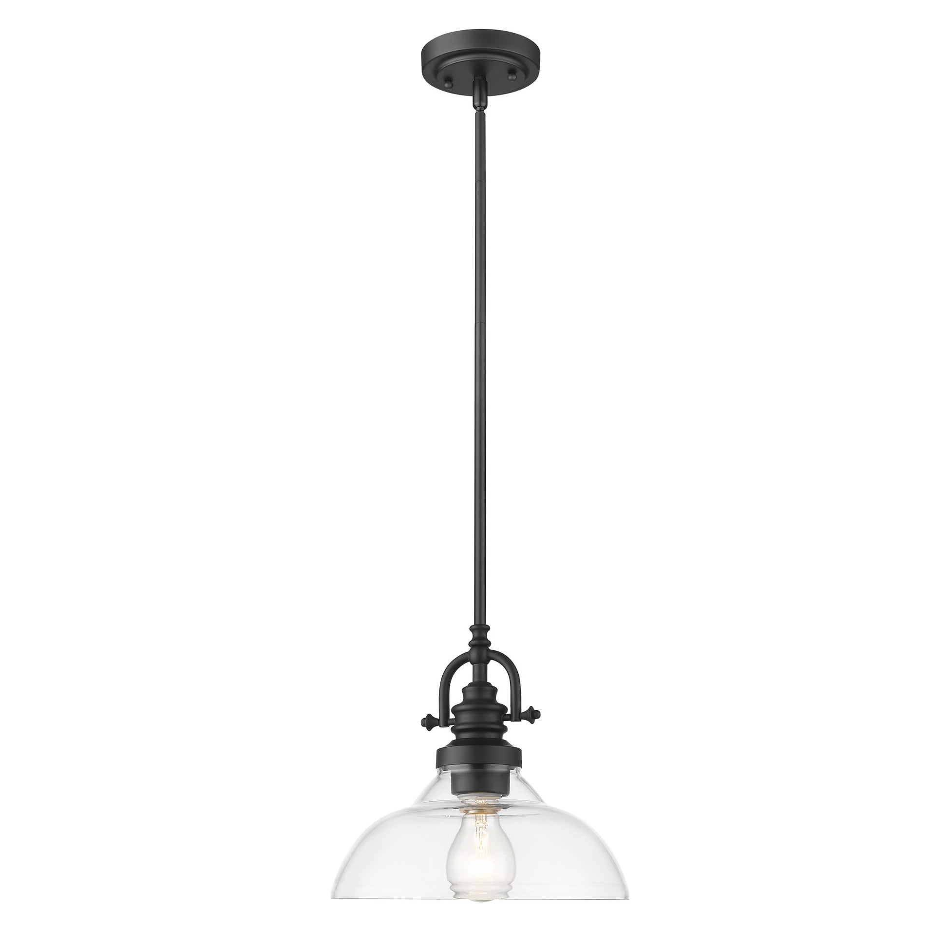 Matte Black Hanging Light with Glass Dome Shade-Chandeliers-DECOROLALA