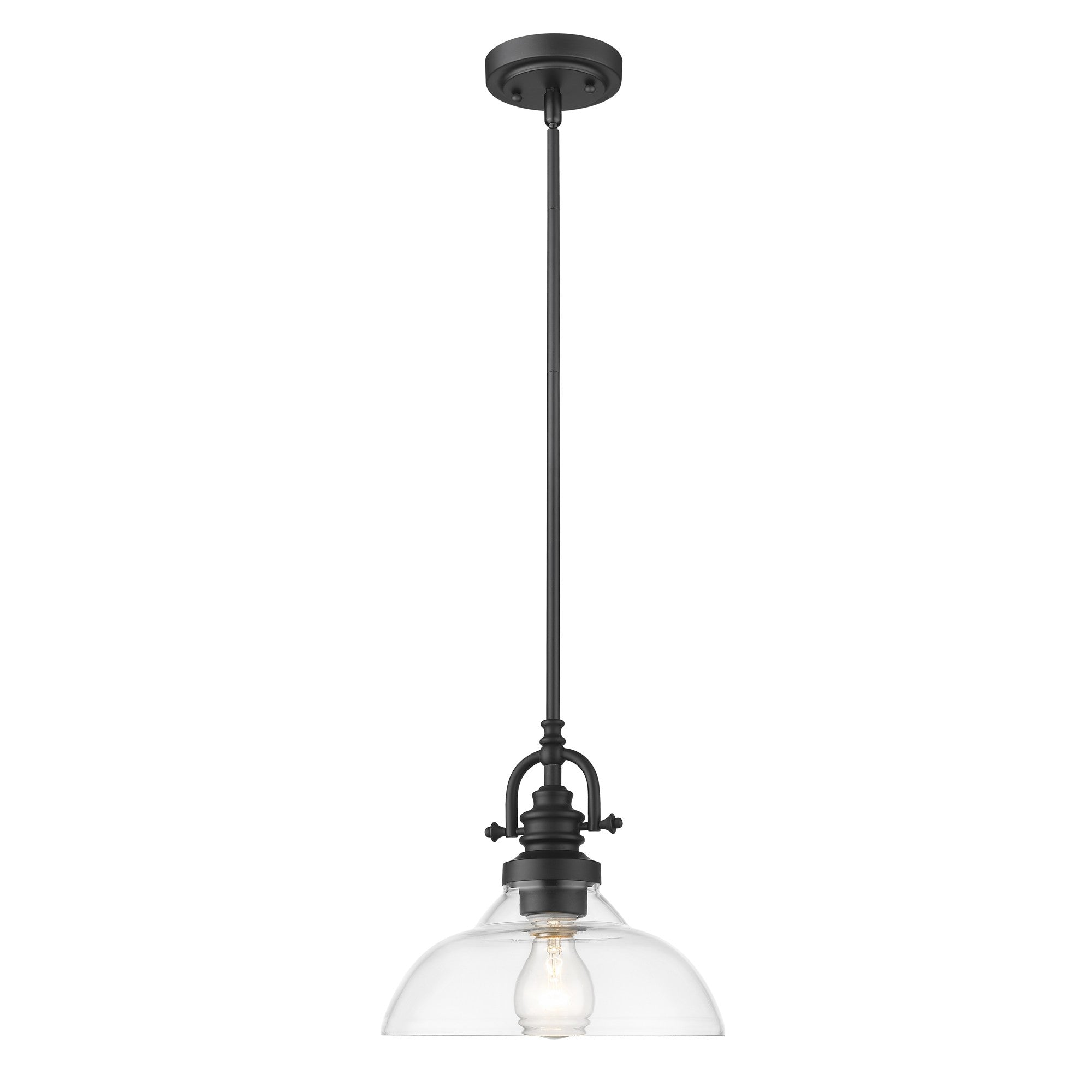 Matte Black Hanging Light with Glass Dome Shade-Chandeliers-DECOROLALA