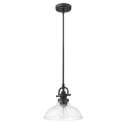 Matte Black Hanging Light with Glass Dome Shade-Chandeliers-DECOROLALA