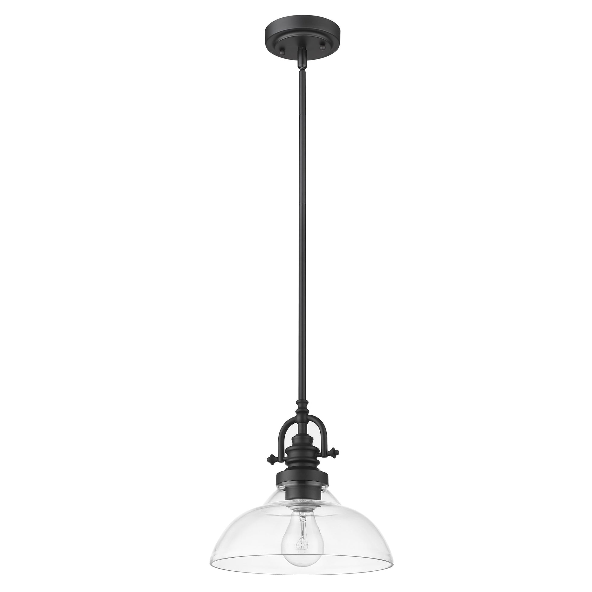 Matte Black Hanging Light with Glass Dome Shade-Chandeliers-DECOROLALA