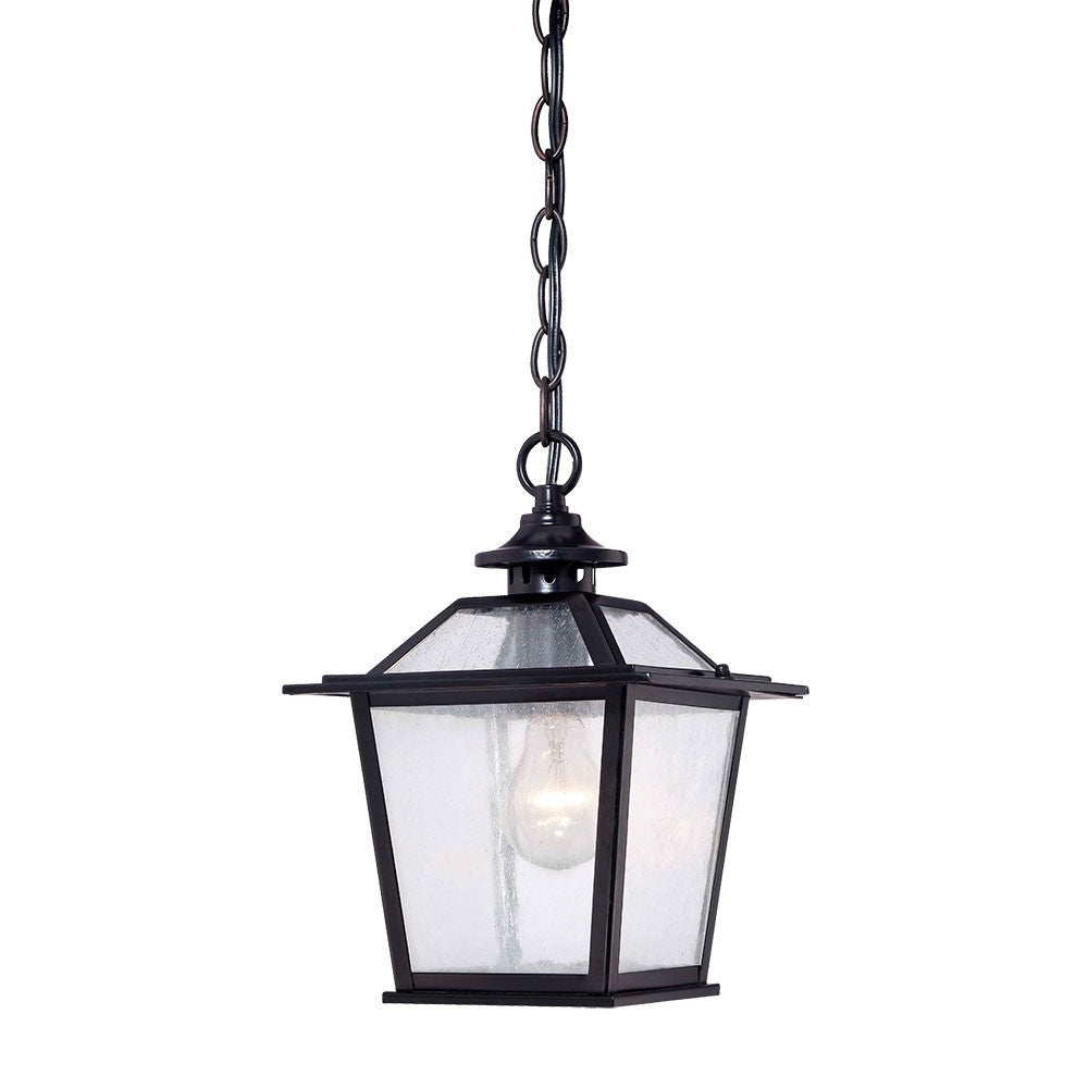 Matte Black Terrarium Shape Hanging Light-Outdoor Lighting-DECOROLALA