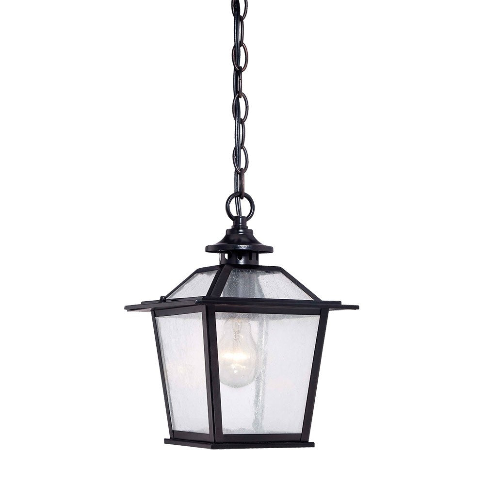 Matte Black Terrarium Shape Hanging Light-Outdoor Lighting-DECOROLALA