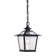 Matte Black Terrarium Shape Hanging Light-Outdoor Lighting-DECOROLALA