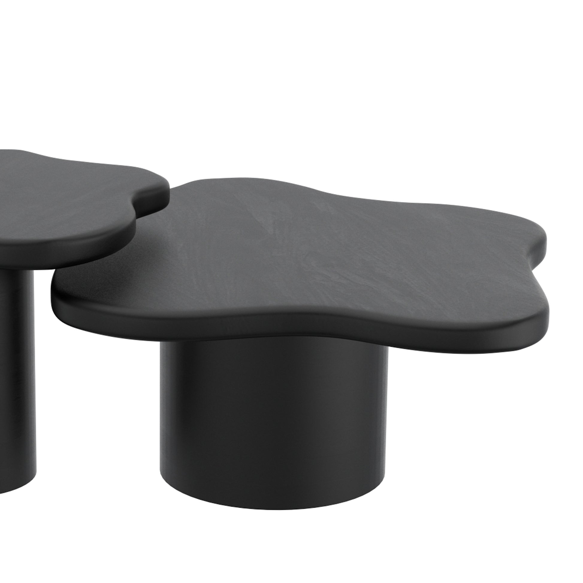 Mayal Large Coffee Table - Black Mango Wood-Coffee Table-DECOROLALA