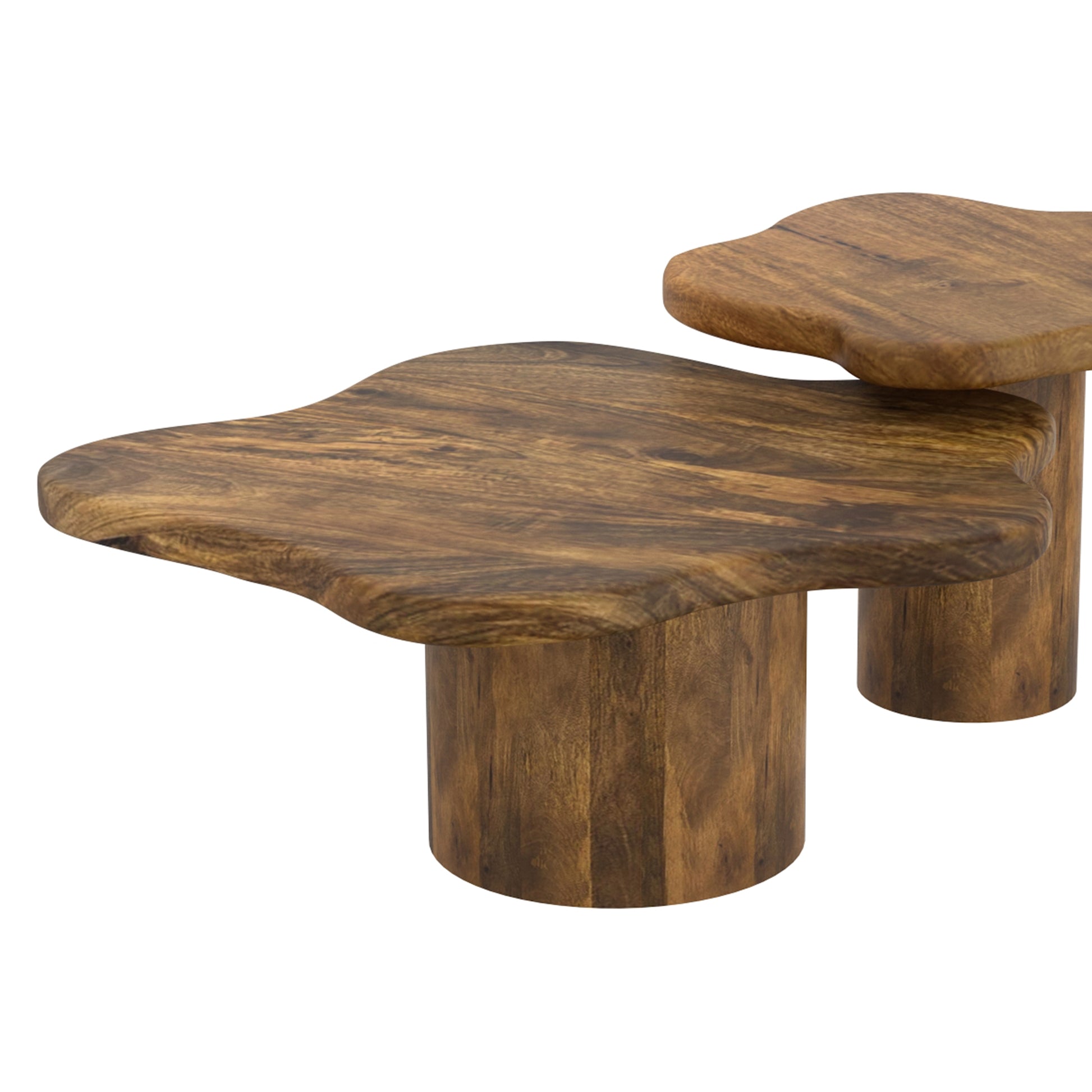 Mayal Large Coffee Table - Walnut Finish Mango Wood-Coffee Table-DECOROLALA