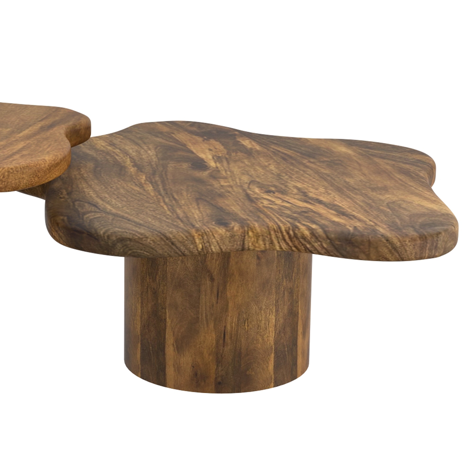 Mayal Large Coffee Table - Walnut Finish Mango Wood-Coffee Table-DECOROLALA