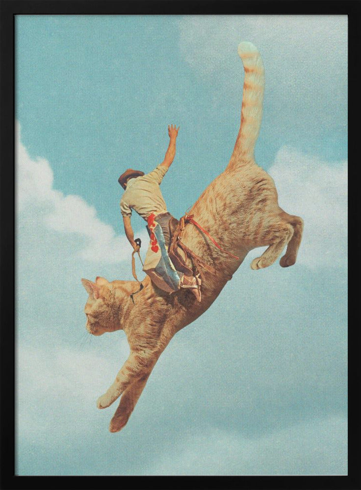 Meehaw Rodio Cat Wall Art-canvas-DECOROLALA