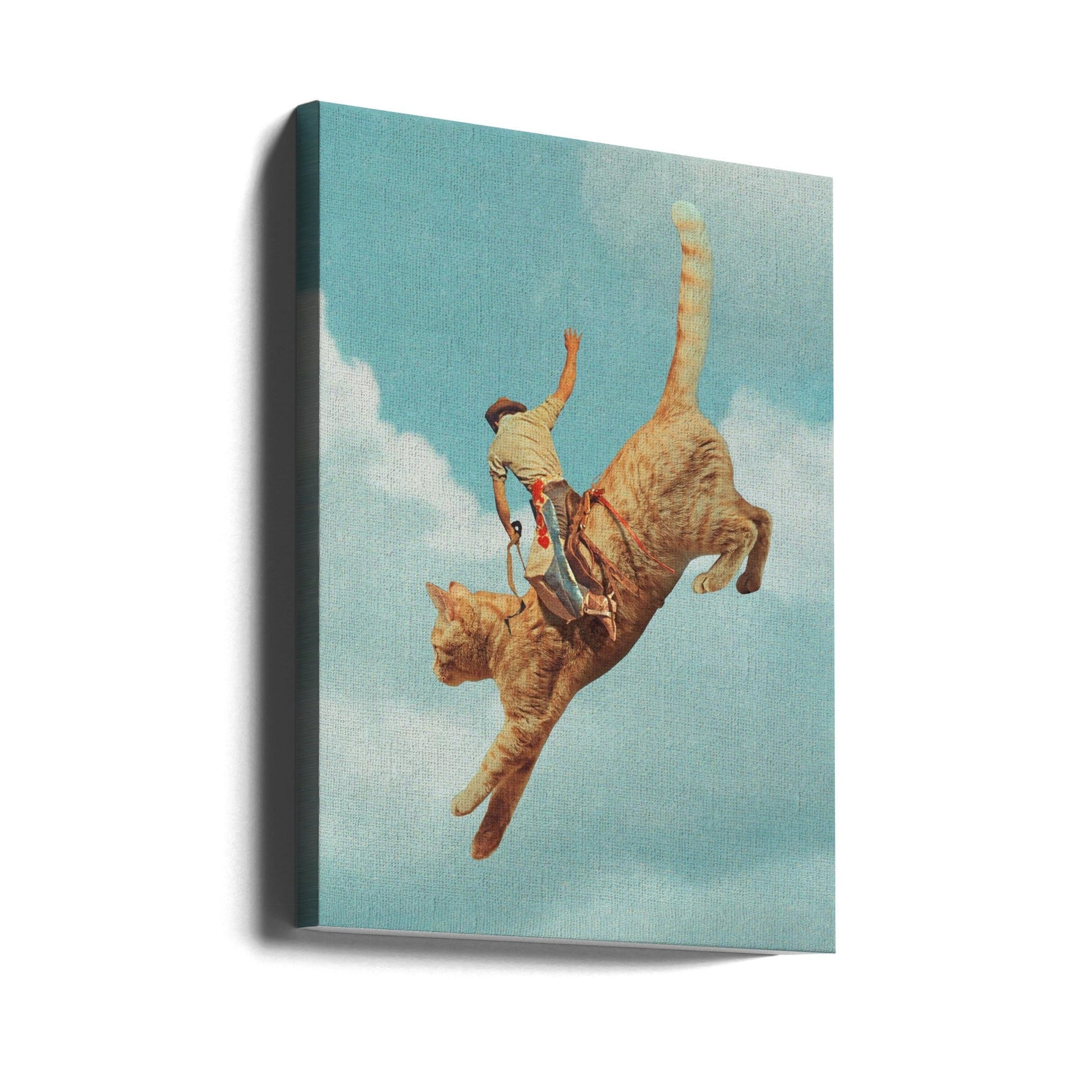 Meehaw Rodio Cat Wall Art-canvas-DECOROLALA