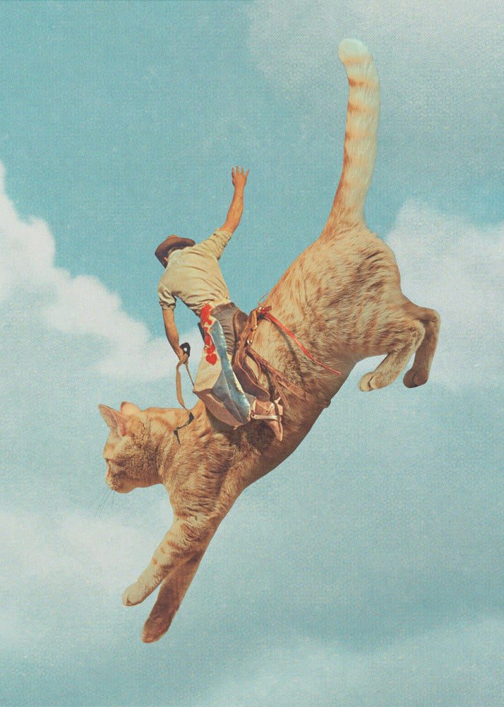 Meehaw Rodio Cat Wall Art-canvas-DECOROLALA