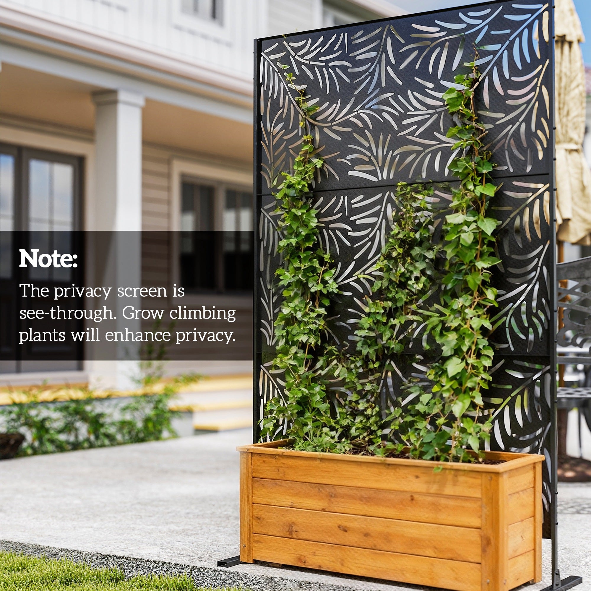 Metal Outdoor Privacy Screen - Black 48" x 78" Willow Style-DECOROLALA