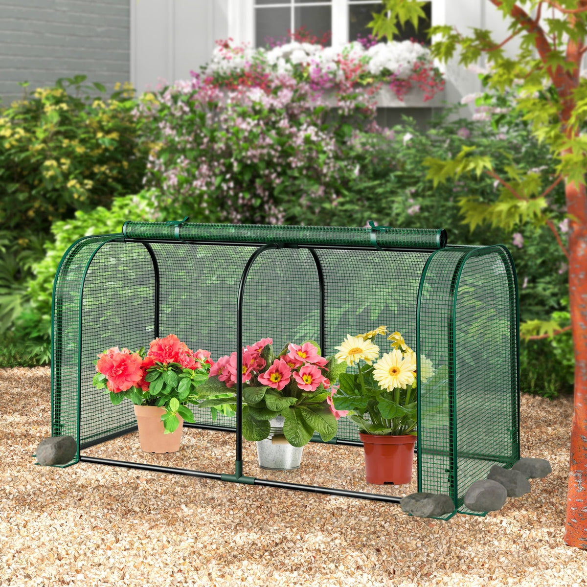 Mini Tunnel Greenhouse with Roll-up Zipper Door-Green-Greenhouses-DECOROLALA