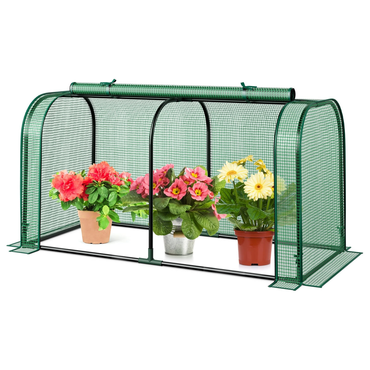 Mini Tunnel Greenhouse with Roll-up Zipper Door-Green-Greenhouses-DECOROLALA