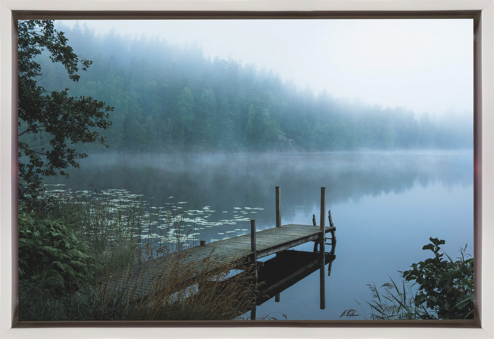 Moody Morning by Christian Lindsten Wall Art-canvas-DECOROLALA
