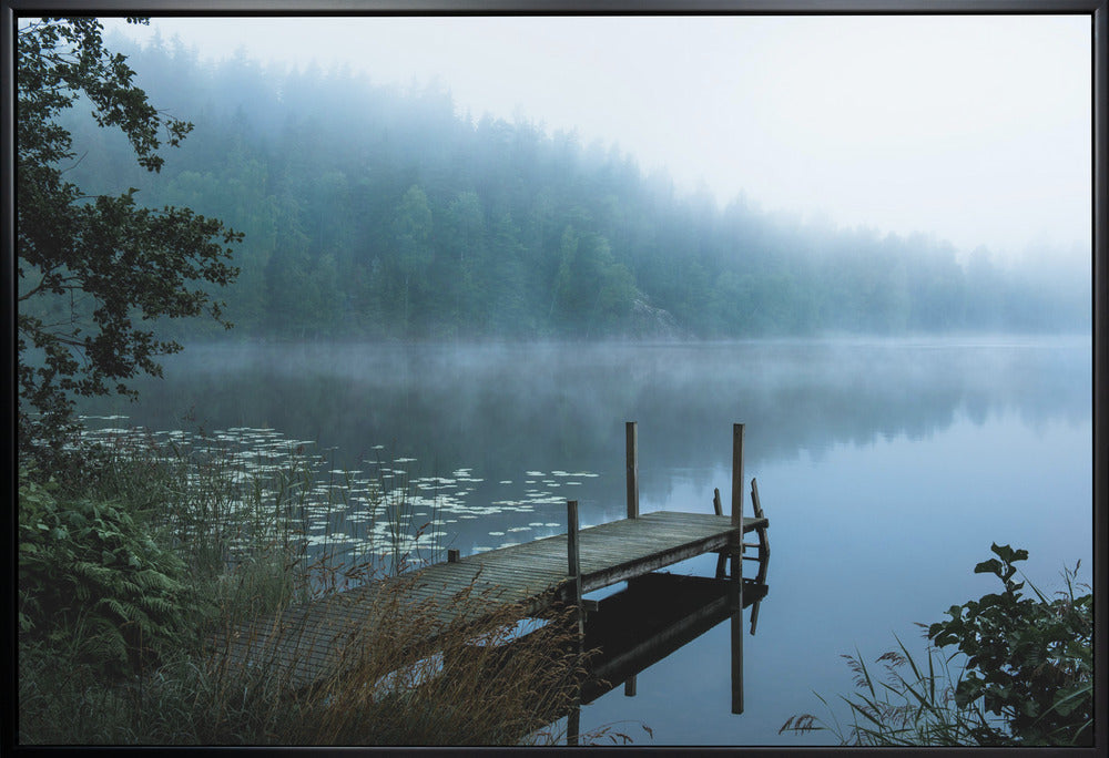 Moody Morning by Christian Lindsten Wall Art-canvas-DECOROLALA