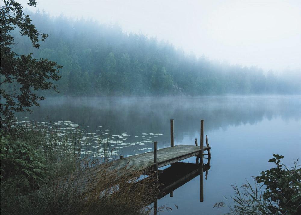 Moody Morning by Christian Lindsten Wall Art-canvas-DECOROLALA
