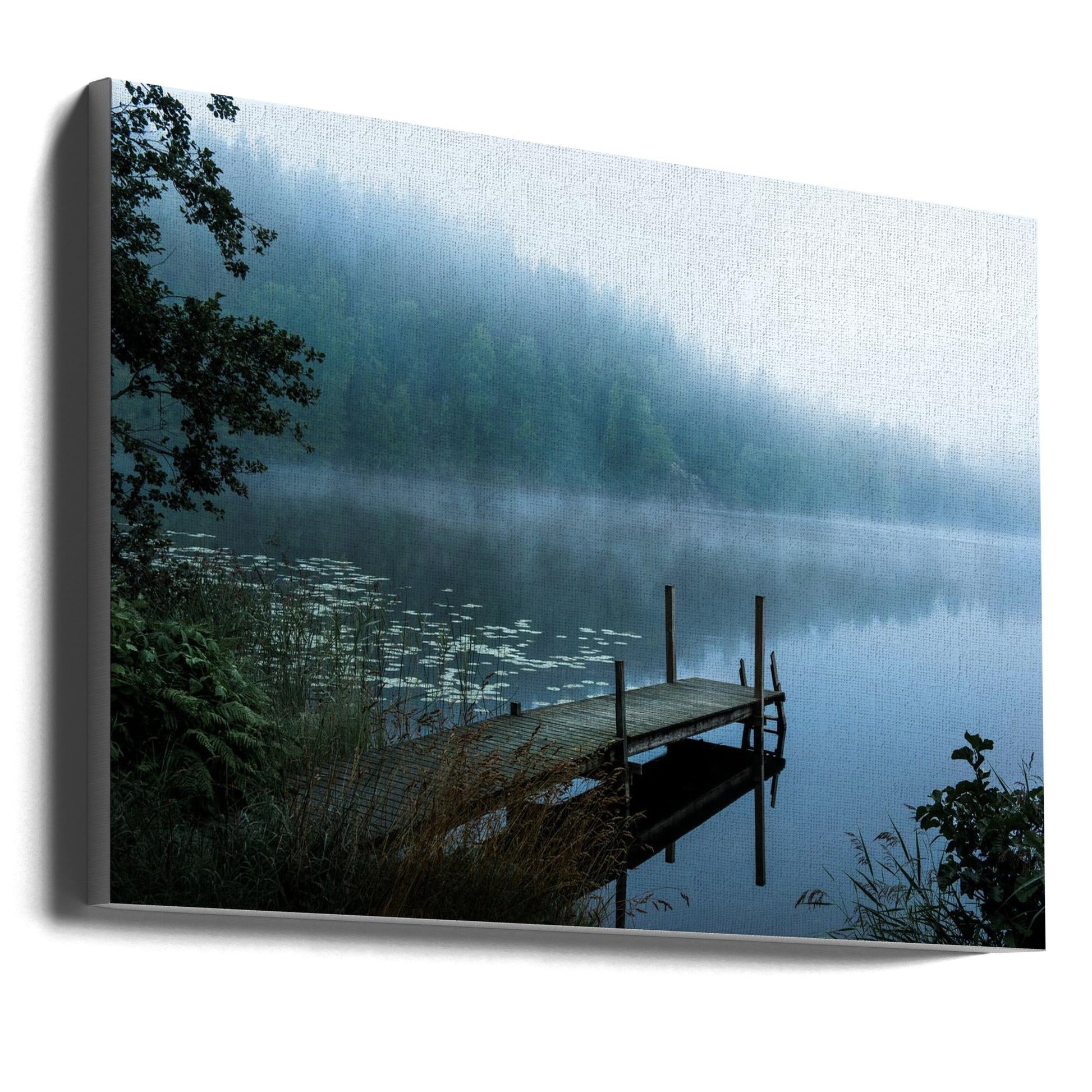 Moody Morning by Christian Lindsten Wall Art-canvas-DECOROLALA