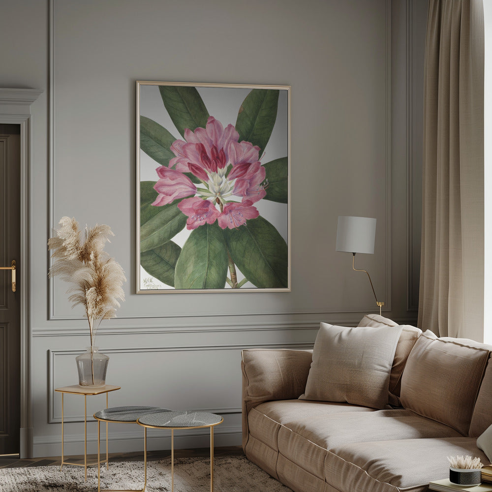 Mountain Rose Bay (1932) by Mary Vaux Walcott-canvas-DECOROLALA
