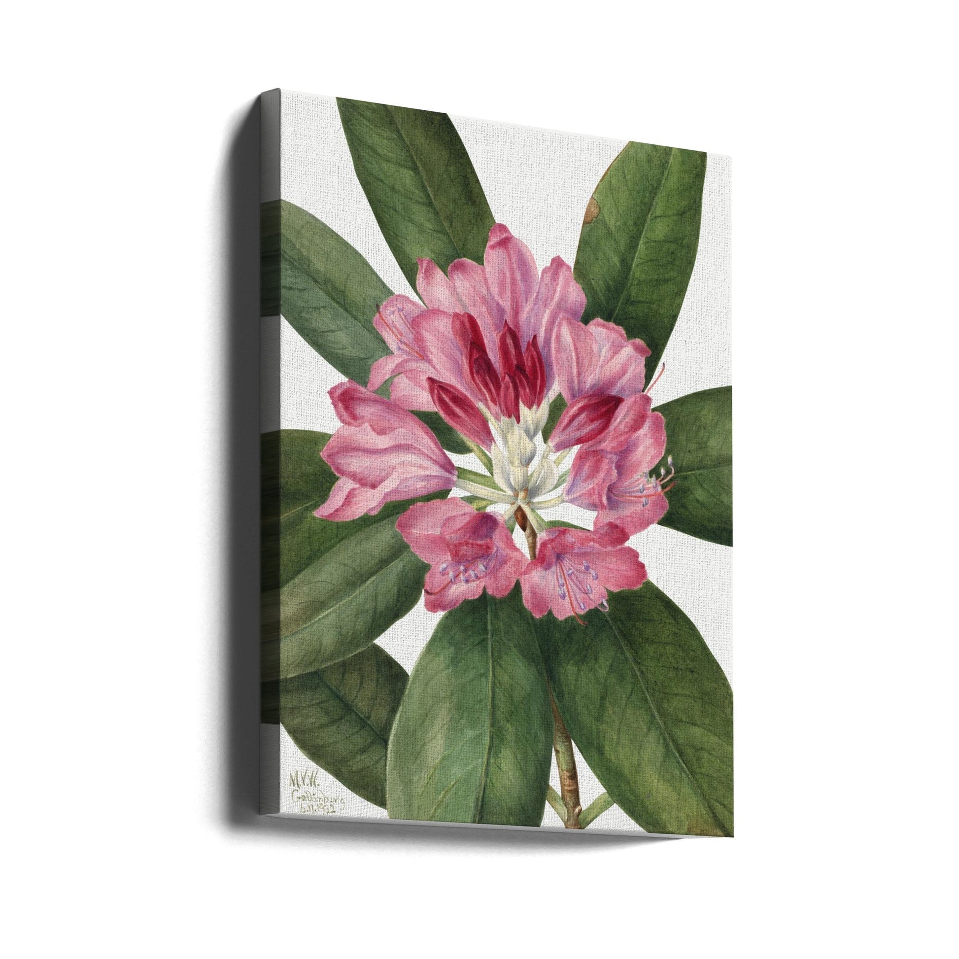 Mountain Rose Bay (1932)-canvas-DECOROLALA