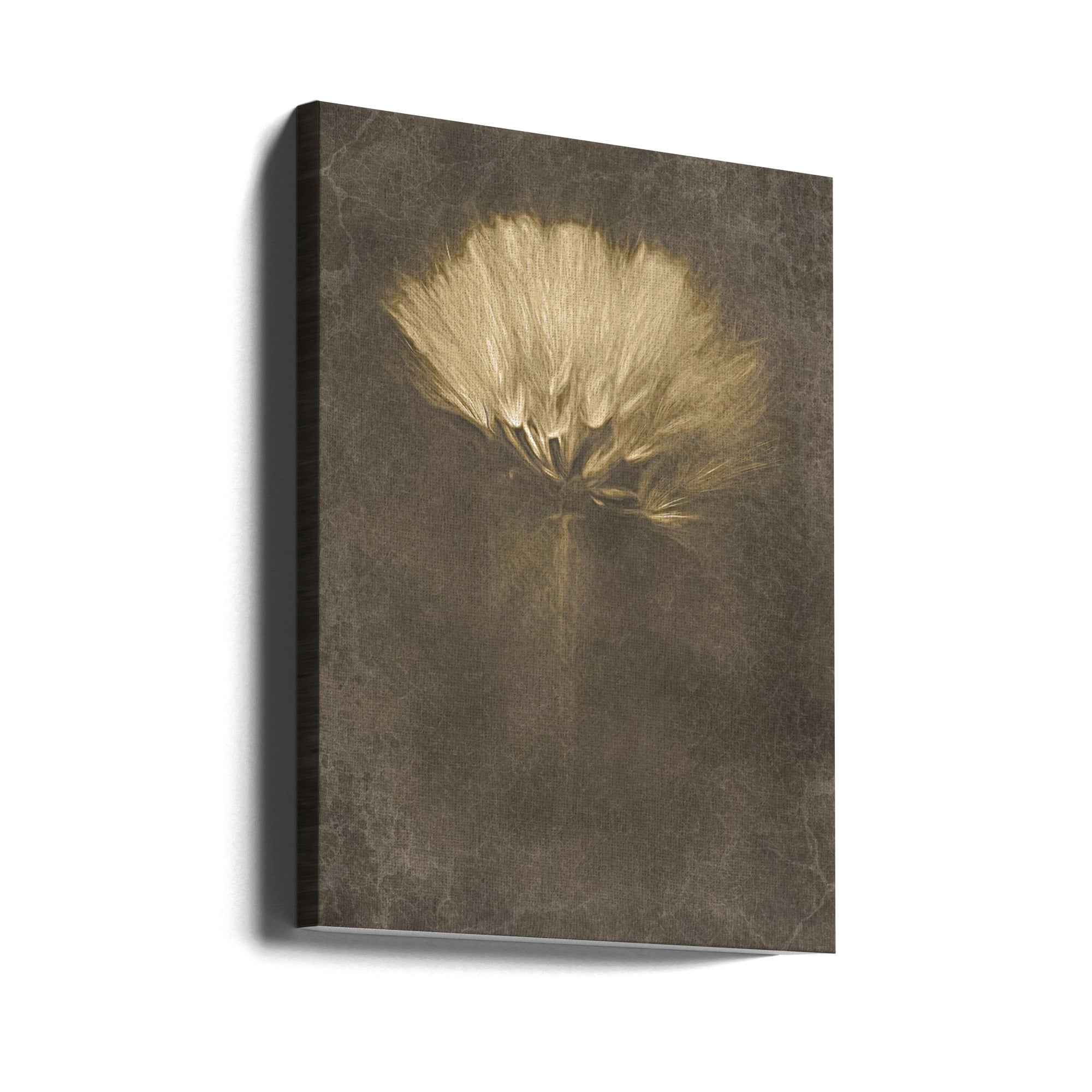 Mysterious Days-Canvas Print-DECOROLALA