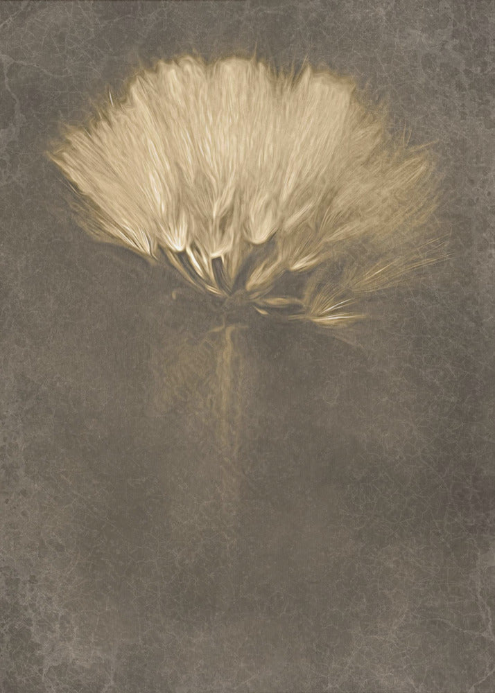 Mysterious Days Wall Art by Cicek Kiral-Canvas Print-DECOROLALA