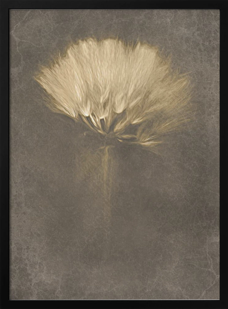 Mysterious Days Wall Art by Cicek Kiral-Canvas Print-DECOROLALA