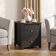 Nightstand with 2 Drawers & Storage for Bedroom Living Room Small Spaces-Black-Nightstands-DECOROLALA