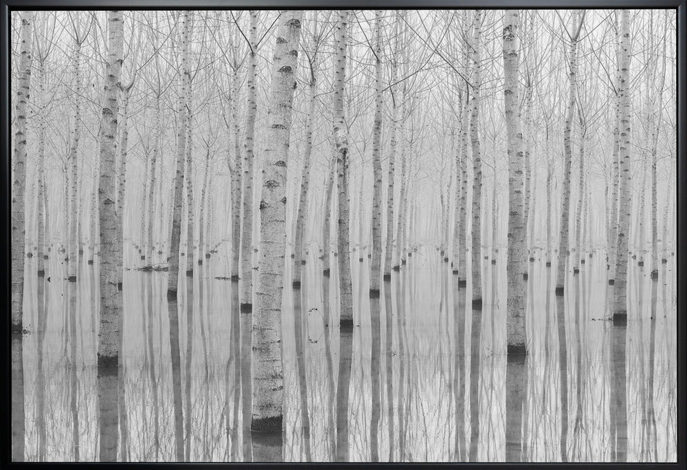 Novembre 2014-canvas-DECOROLALA