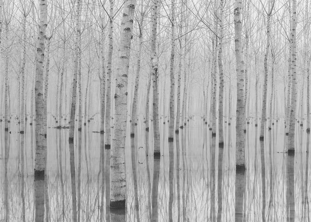 Novembre 2014-canvas-DECOROLALA