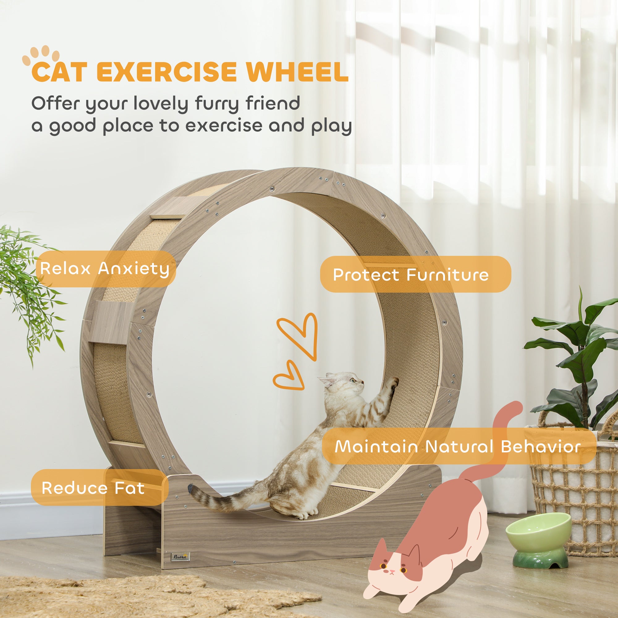 36" Cat Wheel for Indoor Cats with Brake, Scratching Pads, Walnut