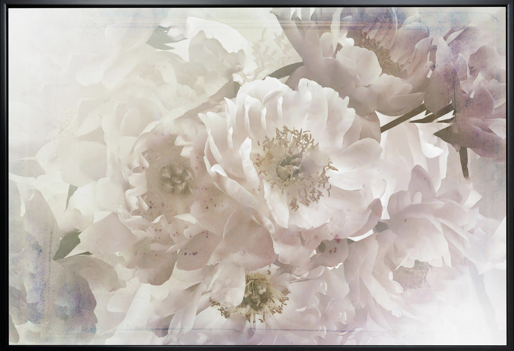 Ombre033flower by Rafal Kulik Wall Art-canvas-DECOROLALA