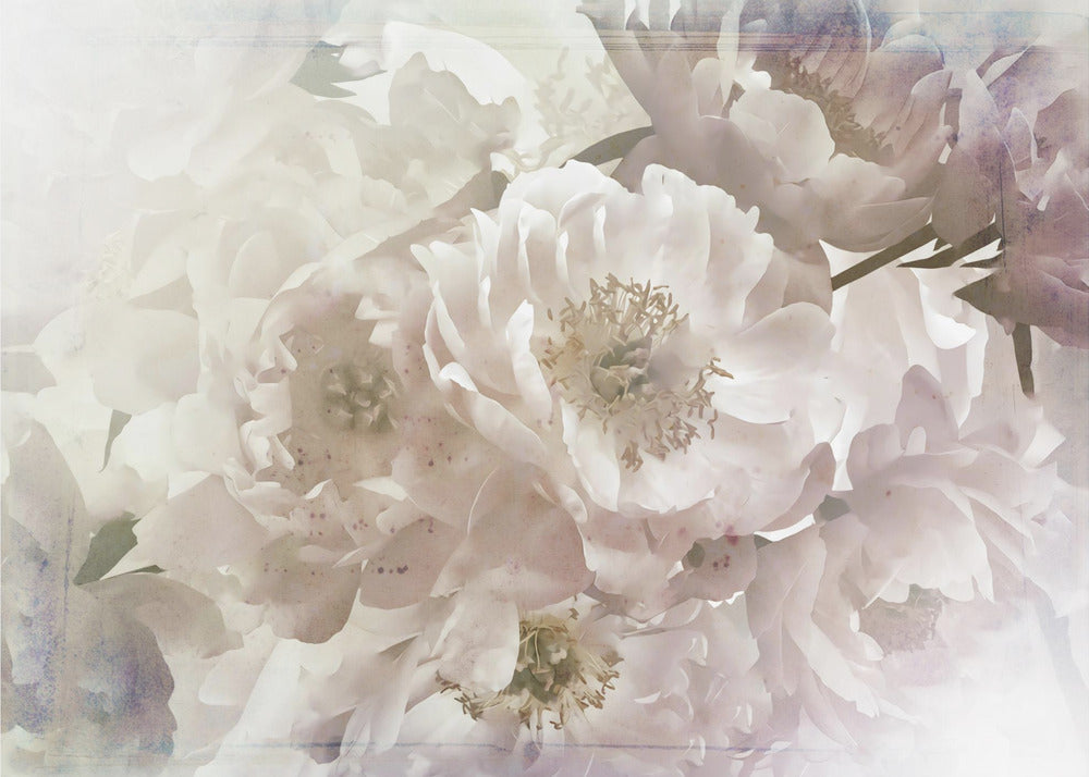 Ombre033flower by Rafal Kulik Wall Art-canvas-DECOROLALA