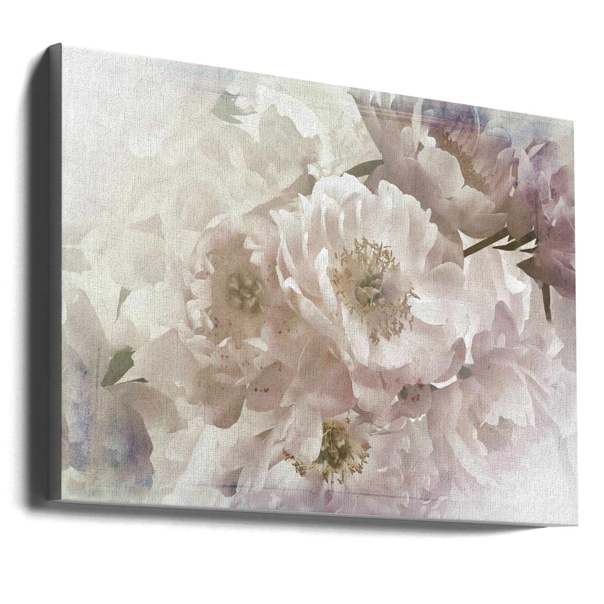 Ombre033flower by Rafal Kulik Wall Art-canvas-DECOROLALA