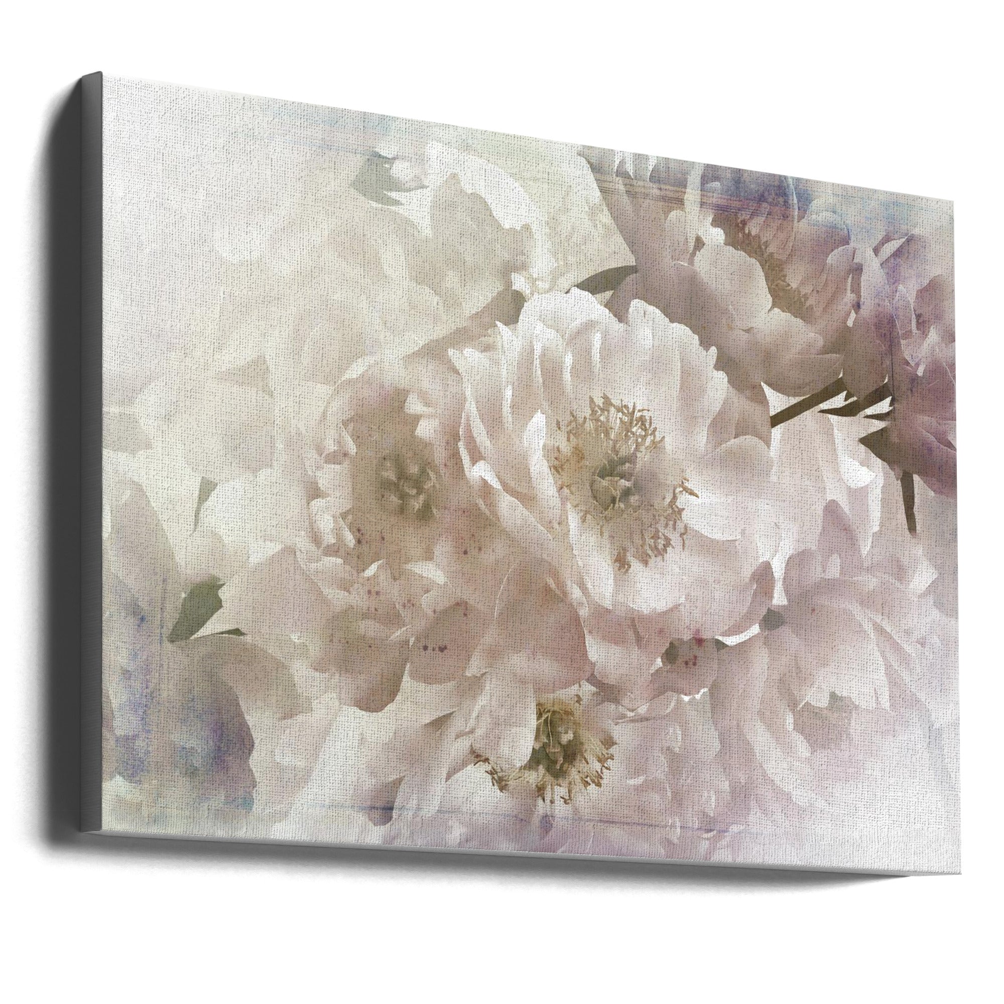 Ombre033flower by Rafal Kulik Wall Art-canvas-DECOROLALA