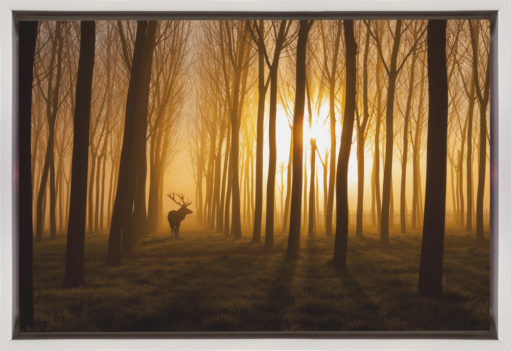 Once Upon a Time by Stefan Miron-canvas-DECOROLALA