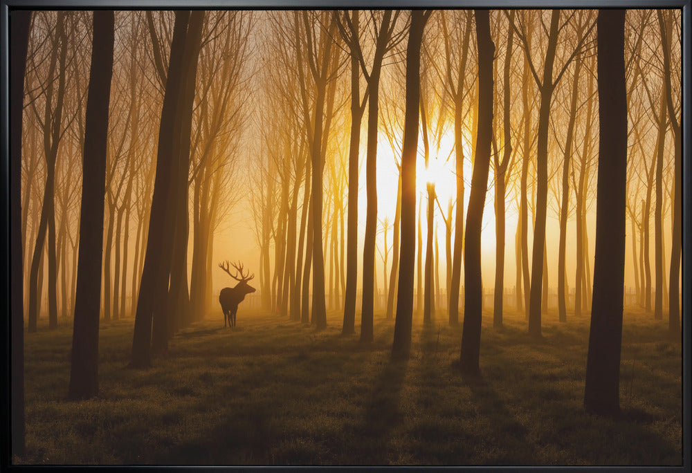 Once Upon a Time by Stefan Miron-canvas-DECOROLALA