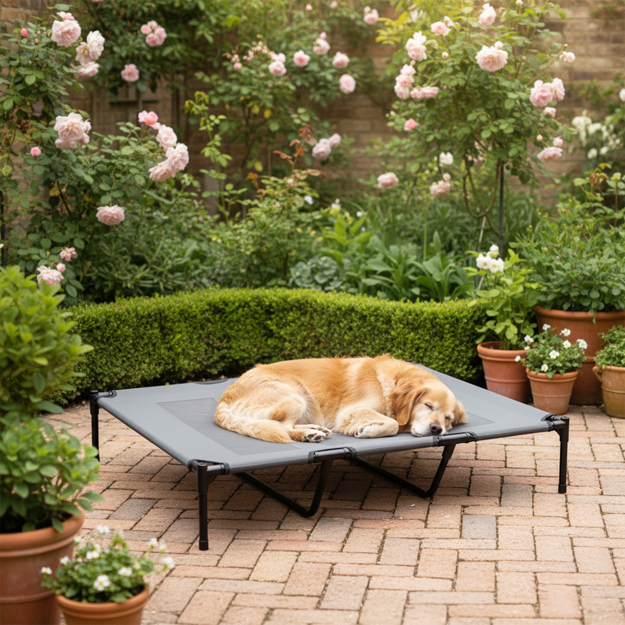 Elevated Dog Bed, Raised Dog Cot for XL Sized Dogs, Indoor & Outdoor, 48" x 36" x 9", Light Grey