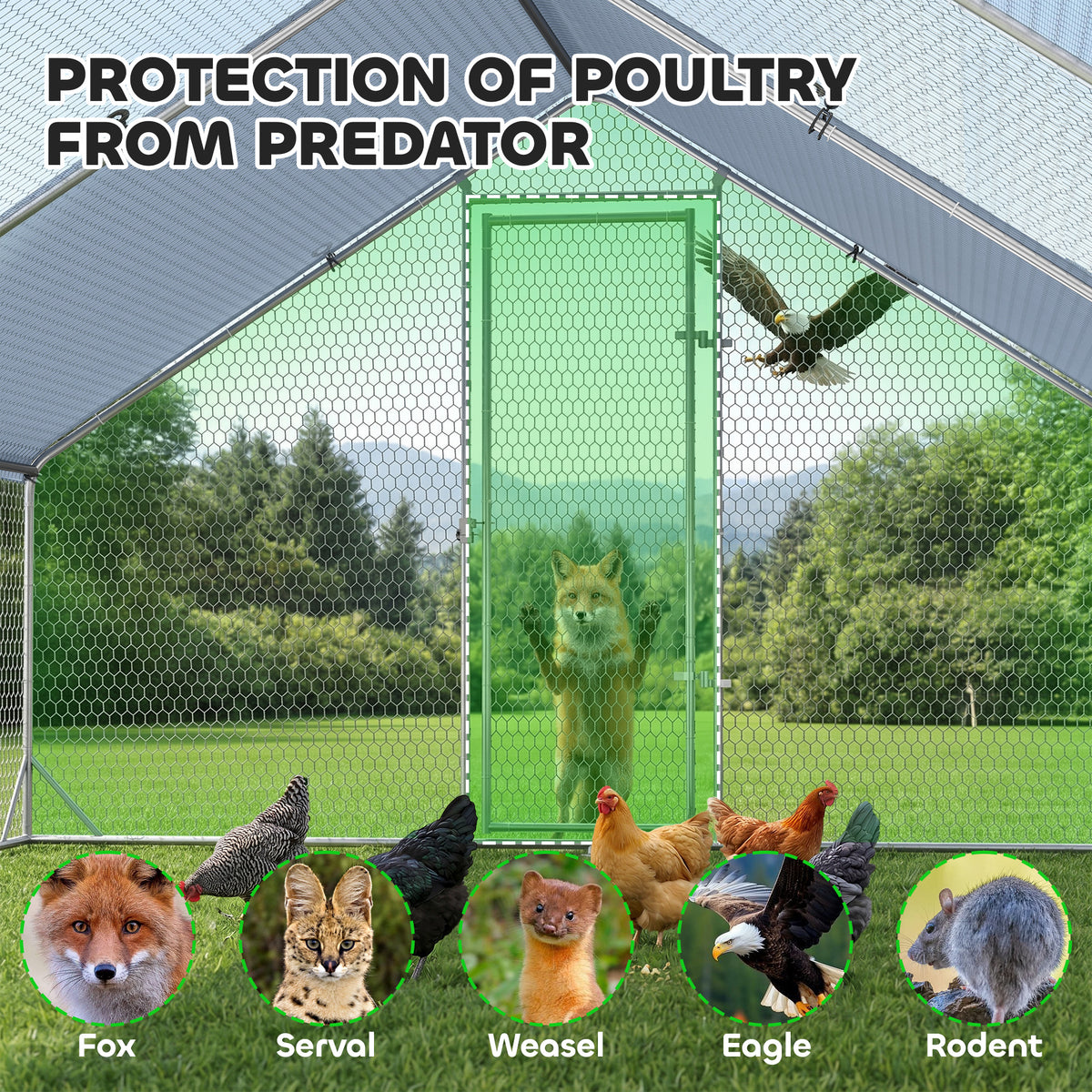 Outdoor Chicken Coop Cage - 9.8' x 26.2' x 6.6' Metal Hen House-Small Animals-DECOROLALA