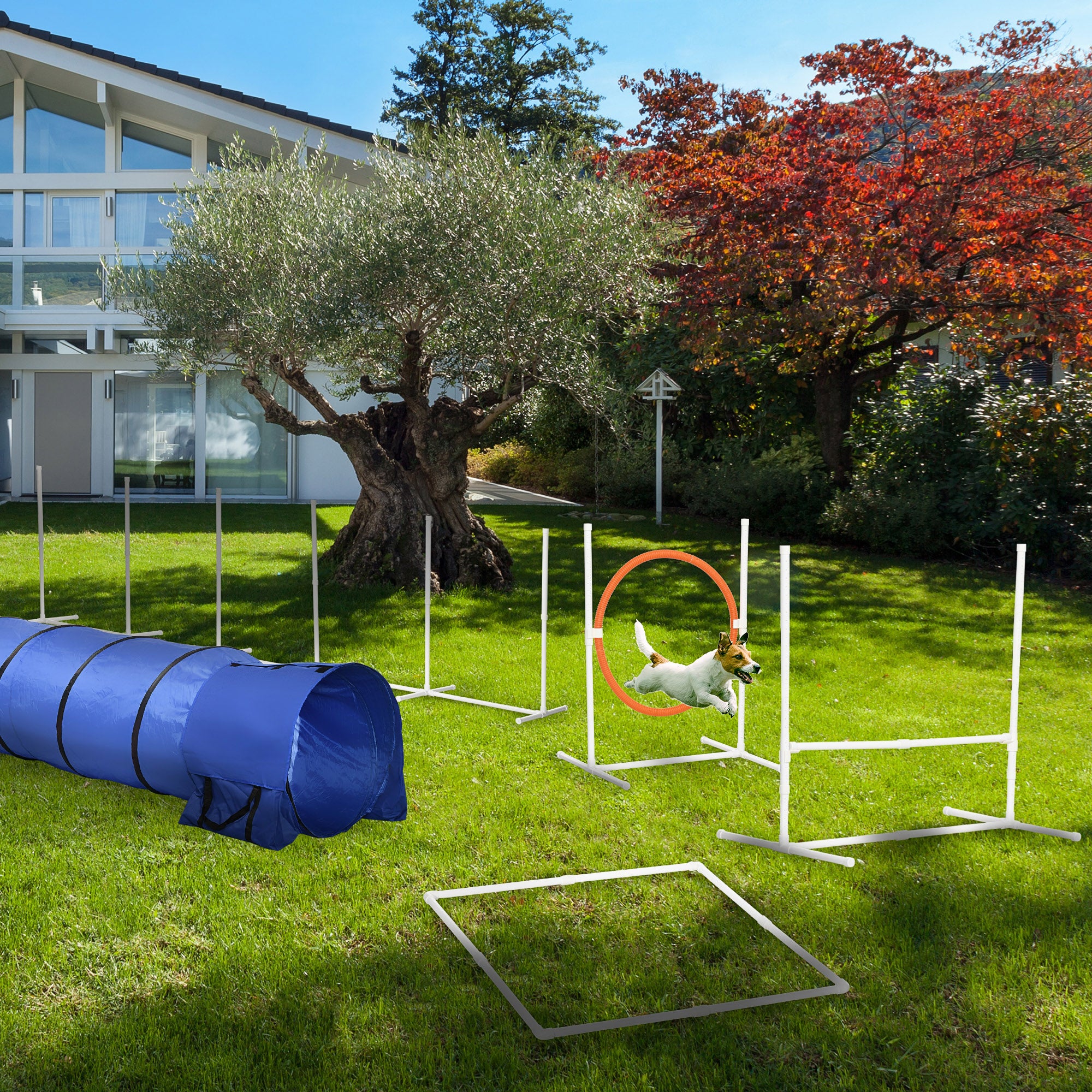 5Pcs Dog Agility Training Equipment with 8.7KG Net Weight, Pet Agility Set with Tunnels, Adjustable Jump Ring, Jumper, Weave Poles, Square Pause Box, Carrying Bag, Whistle