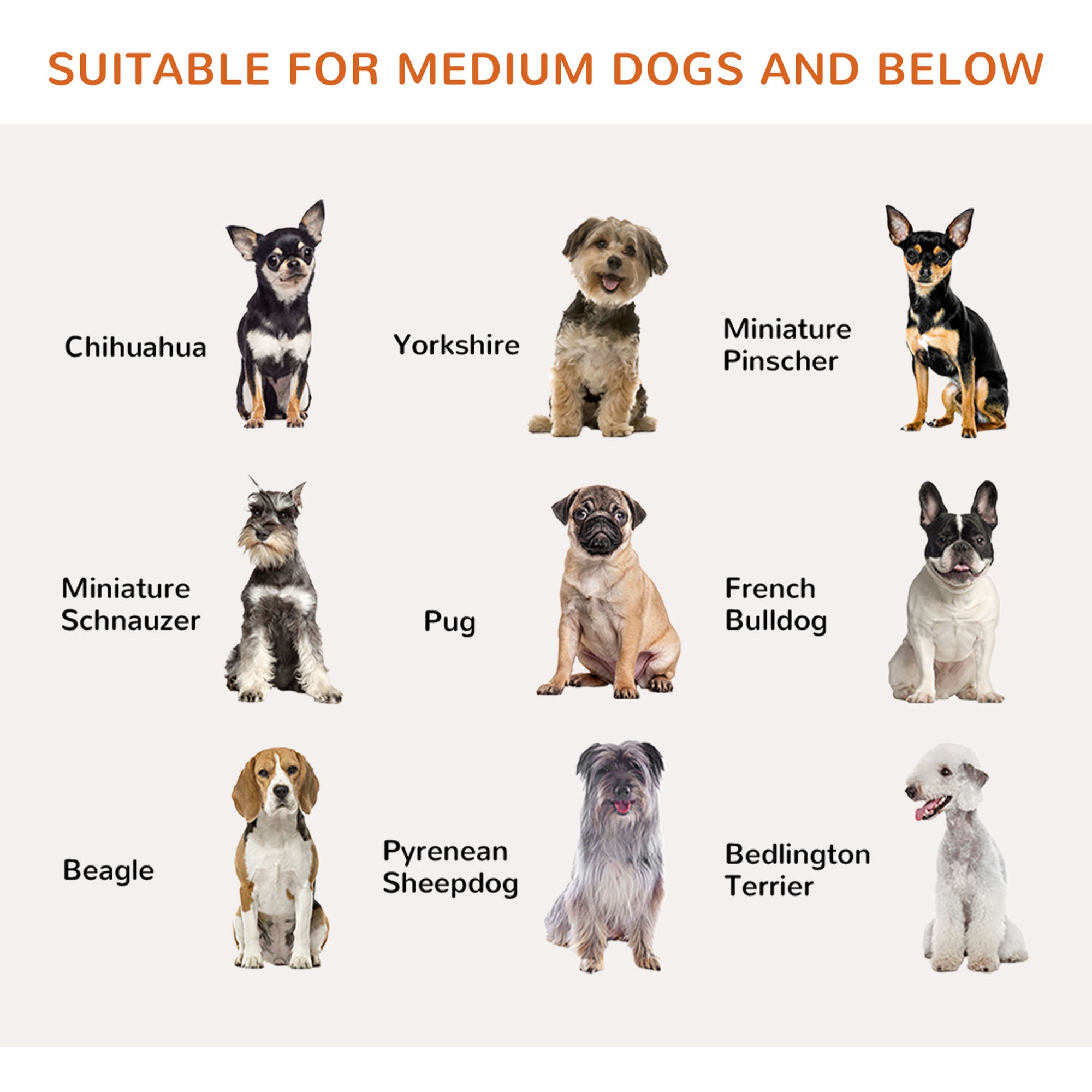 Barrière pliable pour chiens de 31.5"H avec porte, 3 panneaux, barrière pour animaux de compagnie autoportante avec pieds de support, clôture pour chiots adaptée à l’intérieur, pour petits et moyens chiens, blanche