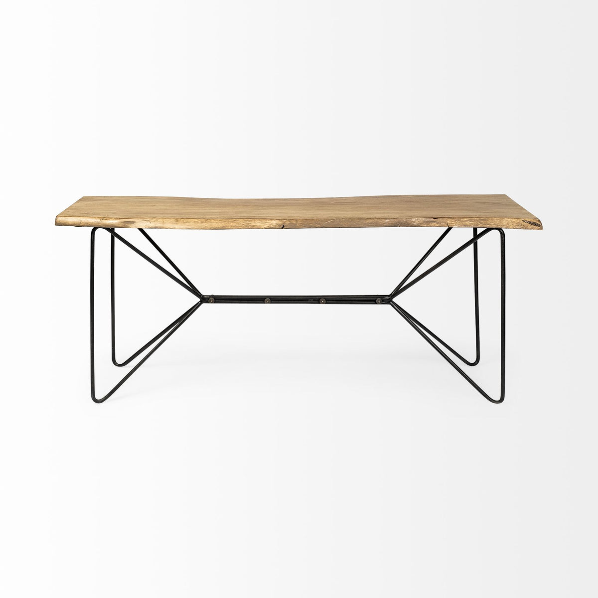 Papillion I 66L x 16W Solid Wood and Iron Console Table-Console Tables-DECOROLALA