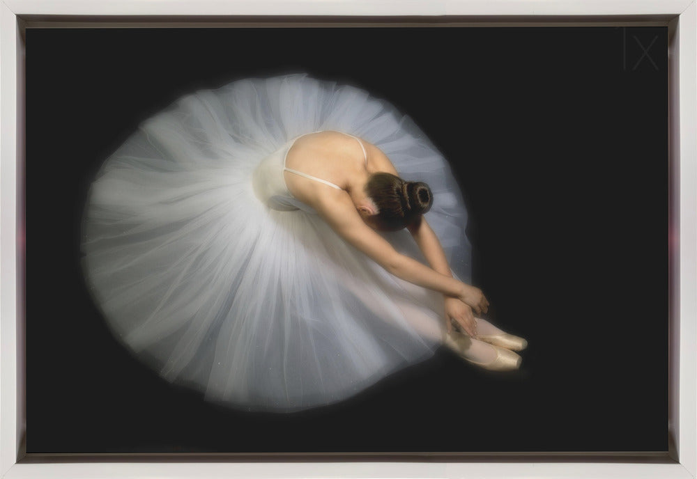 Pauline Pentony Wall Art Elegance Dance-Canvas Print-DECOROLALA