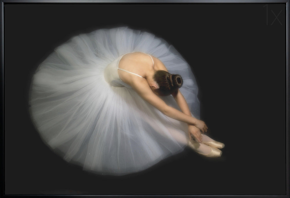 Pauline Pentony Wall Art Elegance Dance-Canvas Print-DECOROLALA