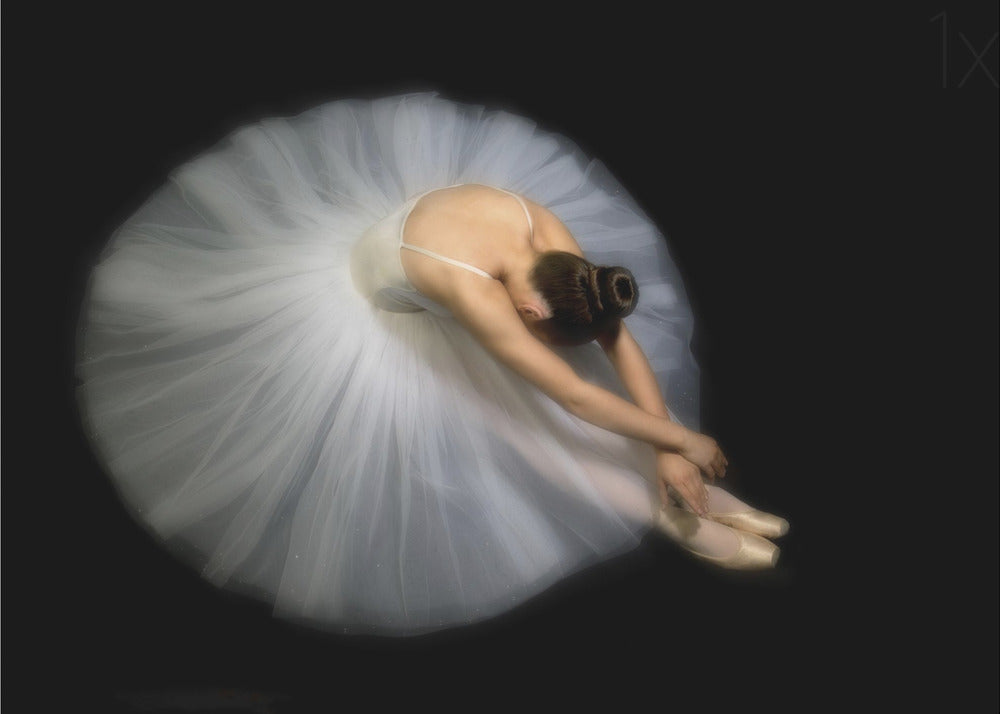 Pauline Pentony Wall Art Elegance Dance-Canvas Print-DECOROLALA